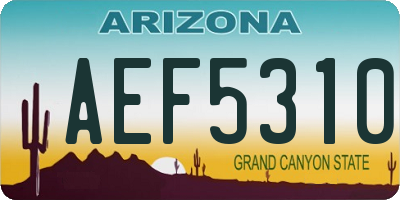 AZ license plate AEF5310