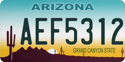 AZ license plate AEF5312