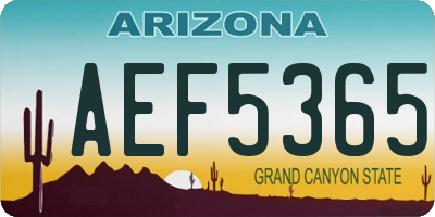 AZ license plate AEF5365