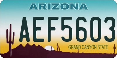 AZ license plate AEF5603