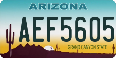 AZ license plate AEF5605