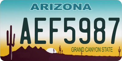 AZ license plate AEF5987