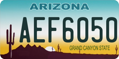AZ license plate AEF6050