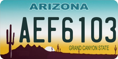 AZ license plate AEF6103