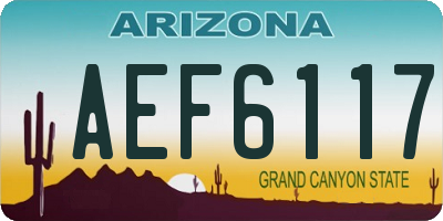 AZ license plate AEF6117