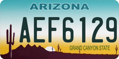 AZ license plate AEF6129