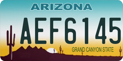 AZ license plate AEF6145