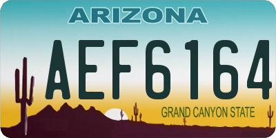 AZ license plate AEF6164