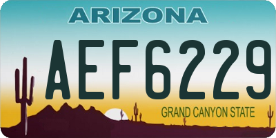 AZ license plate AEF6229