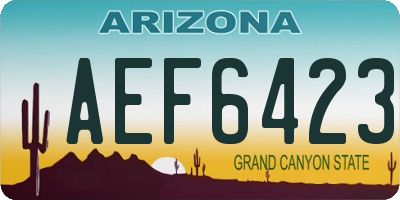AZ license plate AEF6423