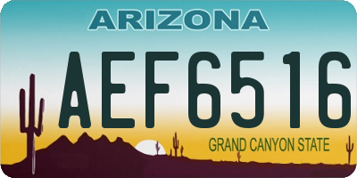 AZ license plate AEF6516