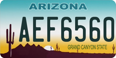 AZ license plate AEF6560