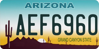 AZ license plate AEF6960