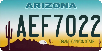 AZ license plate AEF7022