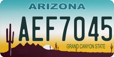 AZ license plate AEF7045