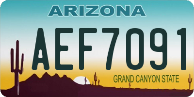 AZ license plate AEF7091