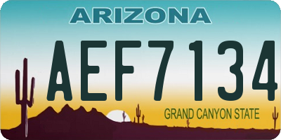 AZ license plate AEF7134