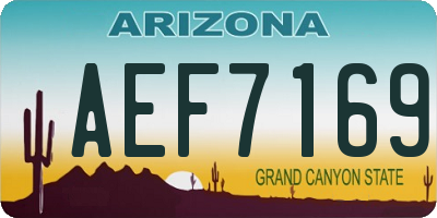 AZ license plate AEF7169