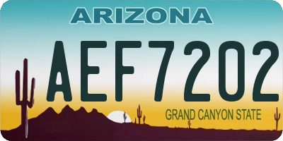 AZ license plate AEF7202