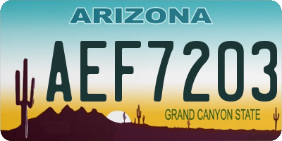 AZ license plate AEF7203