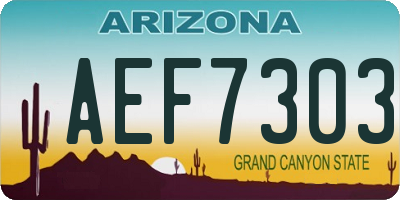 AZ license plate AEF7303