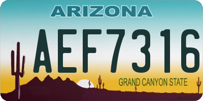 AZ license plate AEF7316