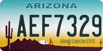 AZ license plate AEF7329
