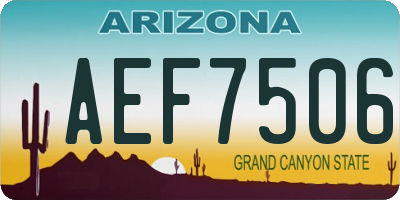 AZ license plate AEF7506