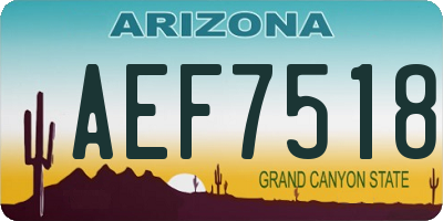 AZ license plate AEF7518