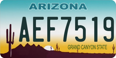AZ license plate AEF7519