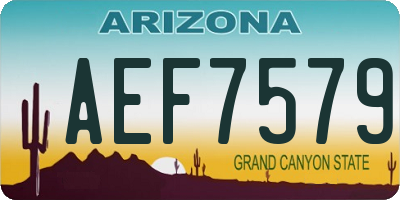 AZ license plate AEF7579