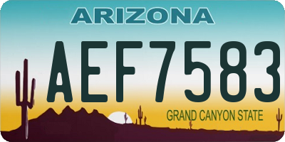 AZ license plate AEF7583