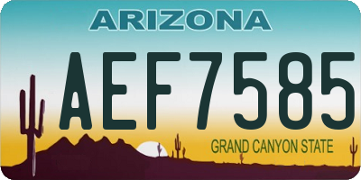 AZ license plate AEF7585
