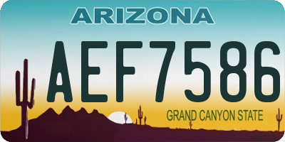 AZ license plate AEF7586