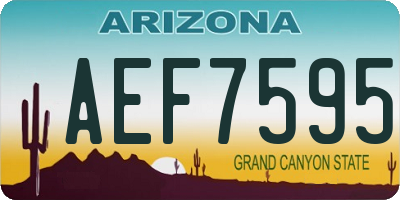 AZ license plate AEF7595