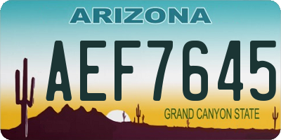 AZ license plate AEF7645