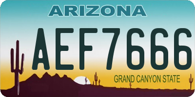 AZ license plate AEF7666