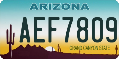 AZ license plate AEF7809