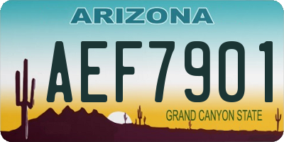 AZ license plate AEF7901