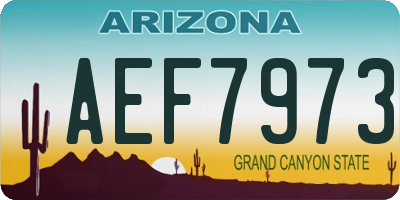 AZ license plate AEF7973