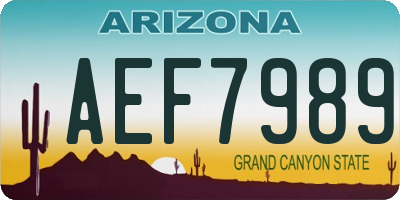AZ license plate AEF7989