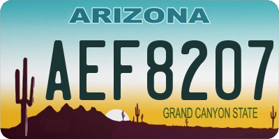 AZ license plate AEF8207