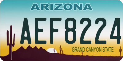 AZ license plate AEF8224