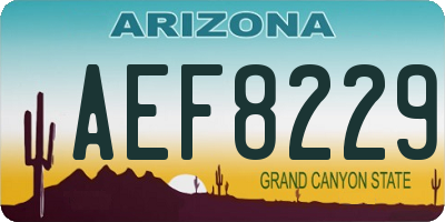 AZ license plate AEF8229