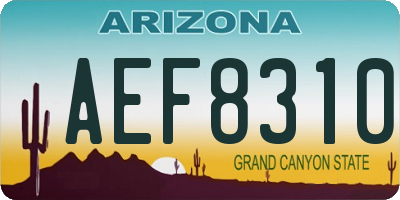AZ license plate AEF8310