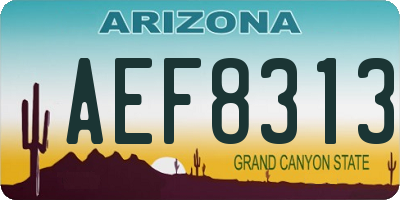AZ license plate AEF8313