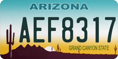 AZ license plate AEF8317