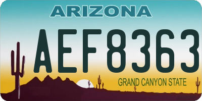 AZ license plate AEF8363