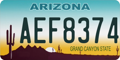 AZ license plate AEF8374