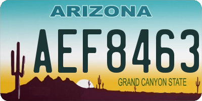 AZ license plate AEF8463